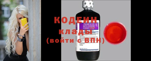 эйфоретик Иннополис