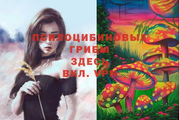 прущие грибы Остров