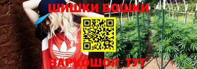 a pvp Будённовск