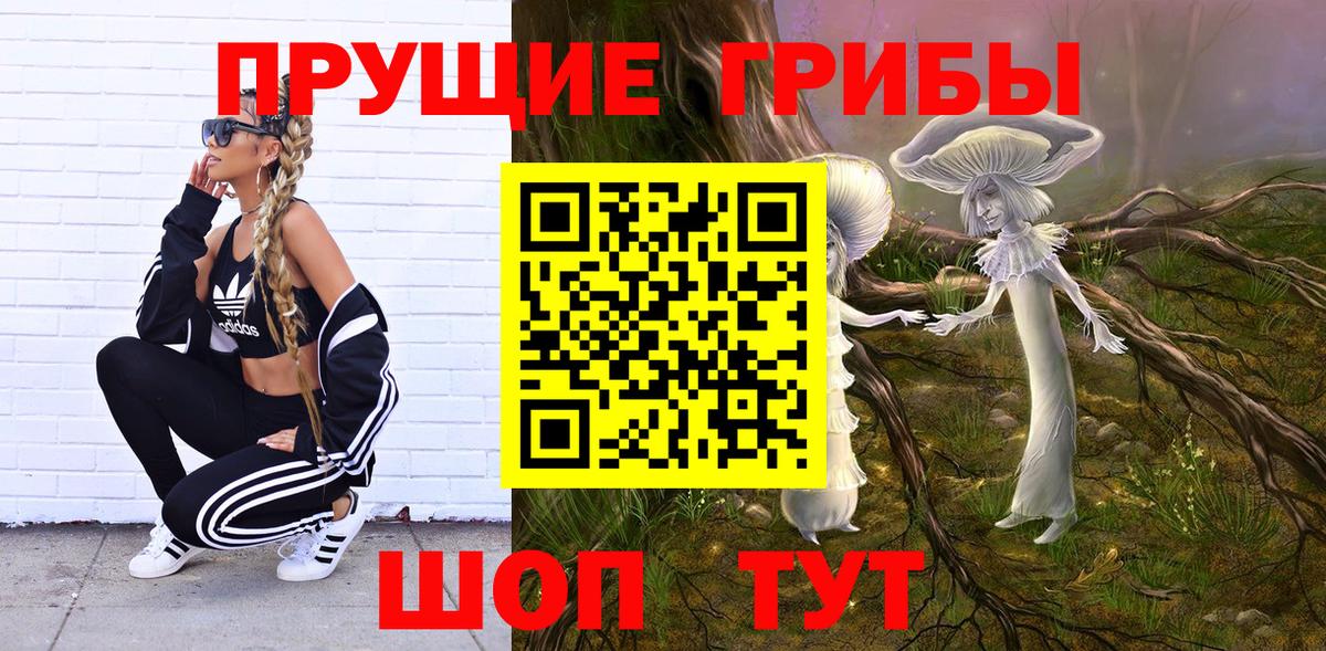 Псилоцибиновые грибы прущие грибы  Балашов  Псилоцибиновые грибы Cubensis 