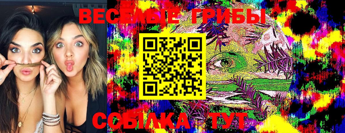 A-PVP Балашов