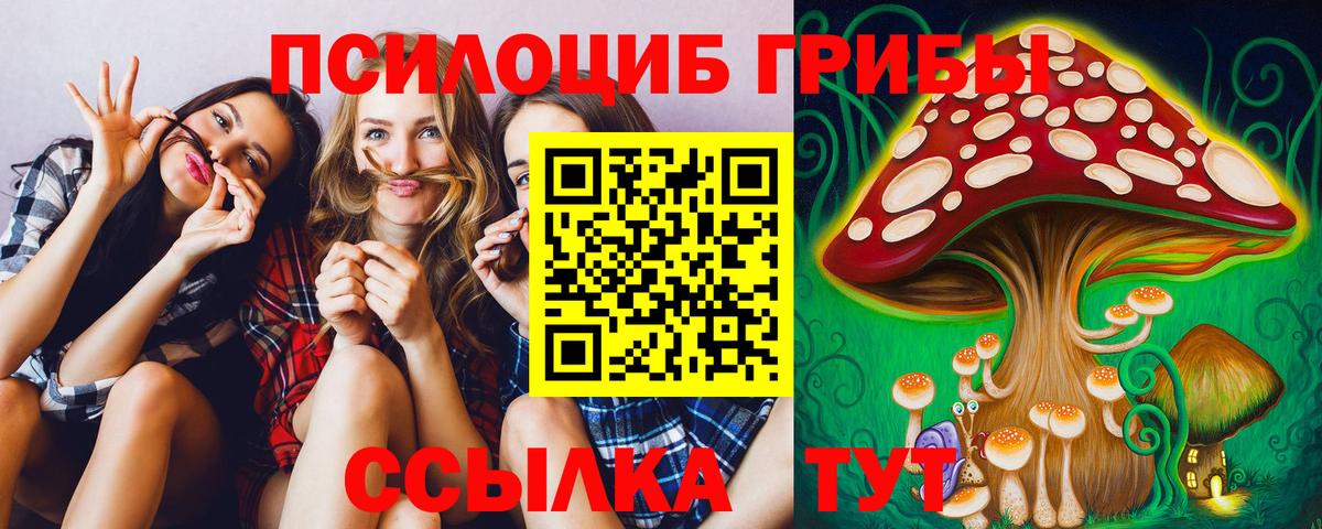 Галлюциногенные грибы Magic Shrooms Балашов