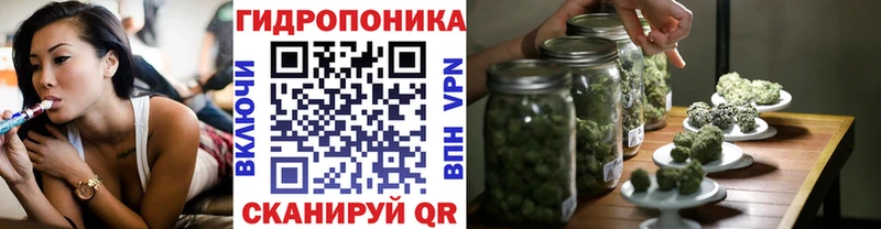 где купить наркоту  Балашов  Канабис планчик 